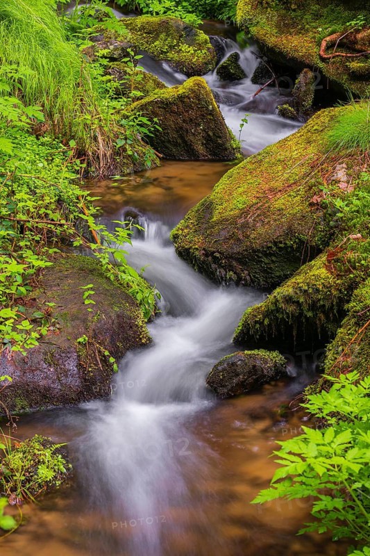 Little creek in the Bavarian Forest Nationalpark. Flowing water, little cascades, mossy stones and fresh green vegetation