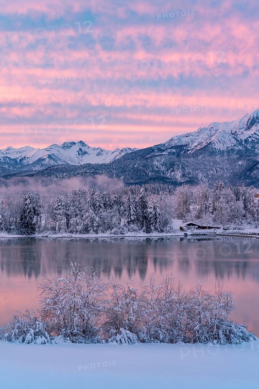 Dawn and sunrise at the wintry Forggensee in a snow-covered winter landscape in the foothills of the Alps in the Allgäu in Bavaria, Germany