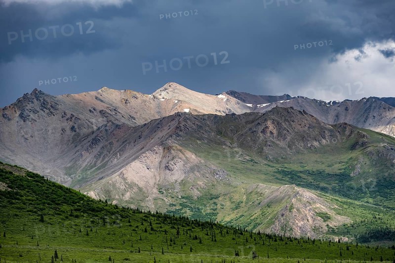 Tundra and mountain landscape with dramatic cloudy sky, Denali National Park, Alaska, USA