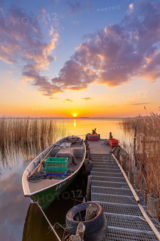 Fishing boat, rowboat along reed bed at sunset near Warthe, Rankwitz at the Lieper Winkel on the island of Usedom, Mecklenburg-Vorpommern, Germany