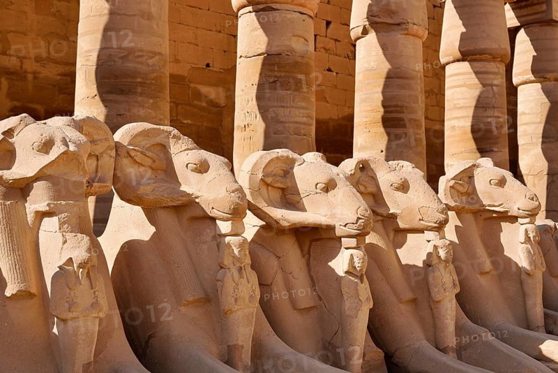 Aries sphinxes in front of the colonnades, Karnak Temple, Luxor, Egypt