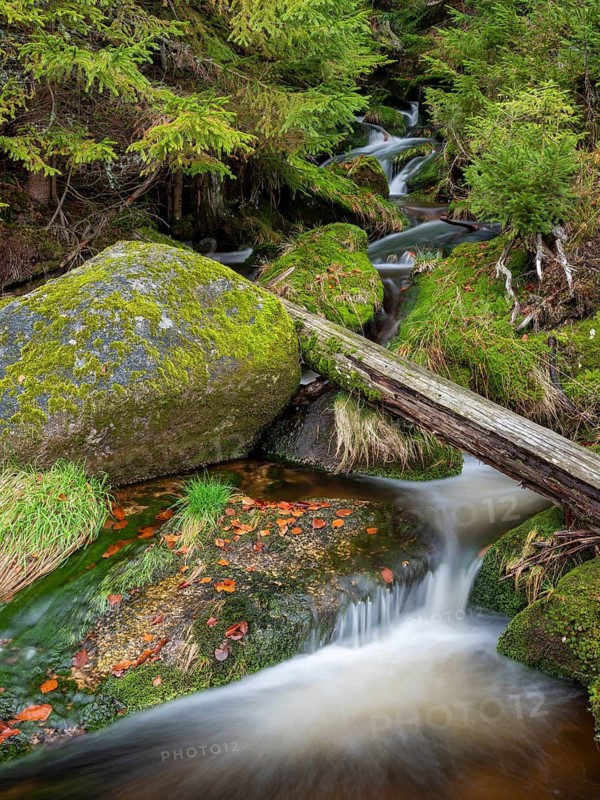 The Kreuzbach, small mountain stream flows over stones covered with moss, Bavarian Forest, Lower Bavaria, Bavaria, Germany