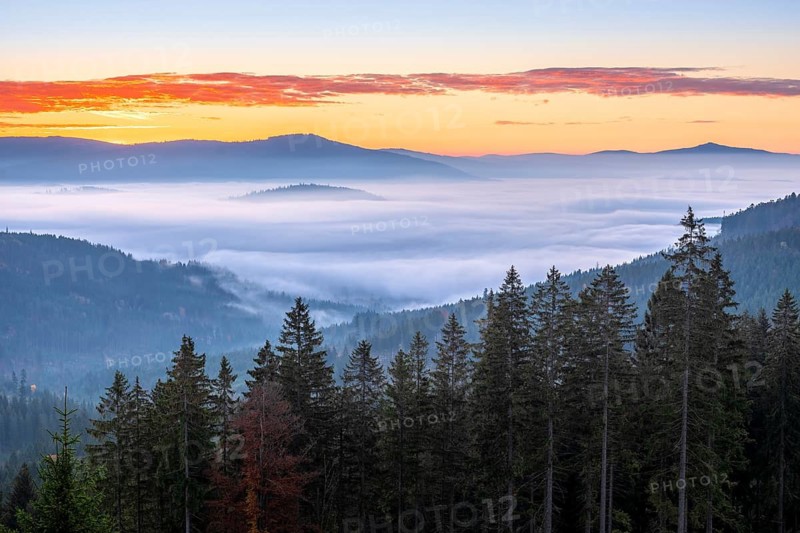 Dawn on the Großer Arber, view over endless forests with valley mist, Bavarian Forest, Lower Bavaria, Bavaria, Germany