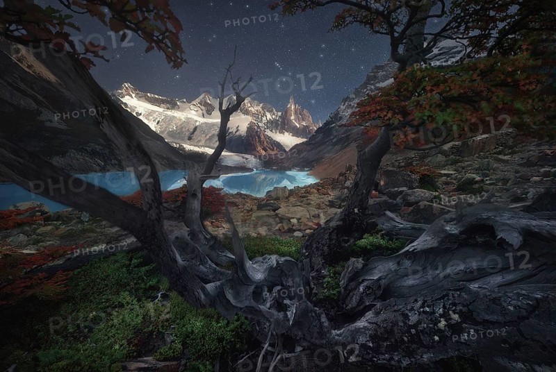 A mesmerizing night sky stretches over jagged mountains and a serene lake, framed by twisted trees. The vibrant and dramatic scene evokes a sense of wonder and tranquility