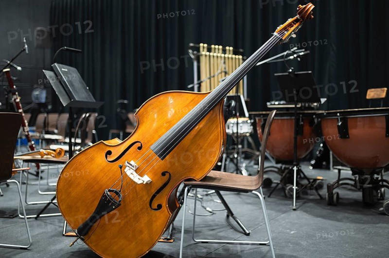 Double bass head and other orchestra instruments in the background in Lubin, Poland