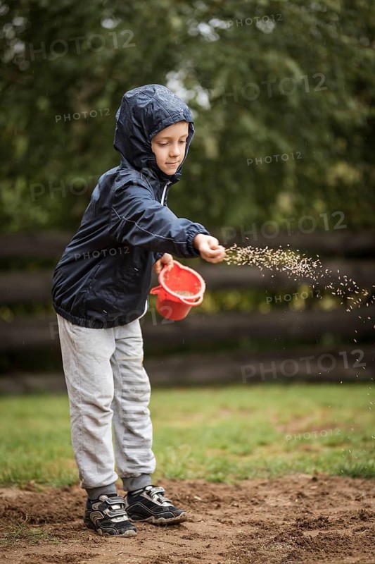 Young boy sows grass seeds in the garden