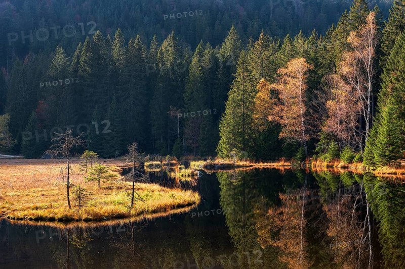 Kleiner Arbersee lake in autumn, Bavarian Forest, Lower Bavaria, Bavaria, Germany