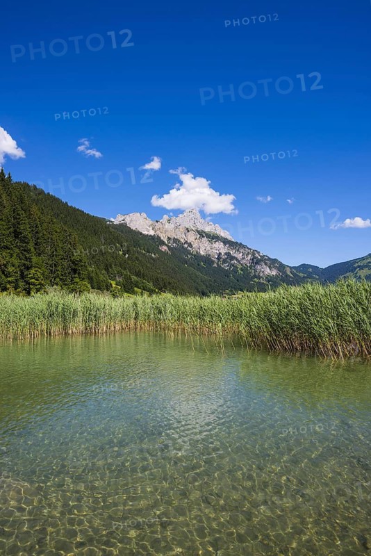 Haldensee, Tannheimer Tal, behind it the Rote Flüh, 2108m, Tannheimer Berge, Allgäu Alps, Tyrol, Austria