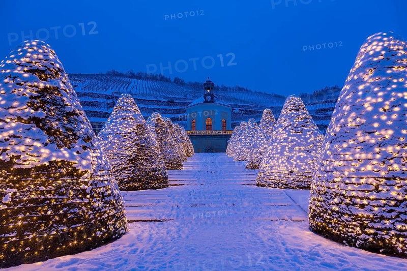 Belvedere Pavilion in winter in front of vineyards, with Christmas lights, Weingut Schloss Wackerbarth, Radebeul, Saxony, Germany