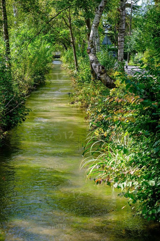Am Gröbenbach, Gröbenzell, Dachauer Moos, Upper Bavaria, Bavaria, Germany