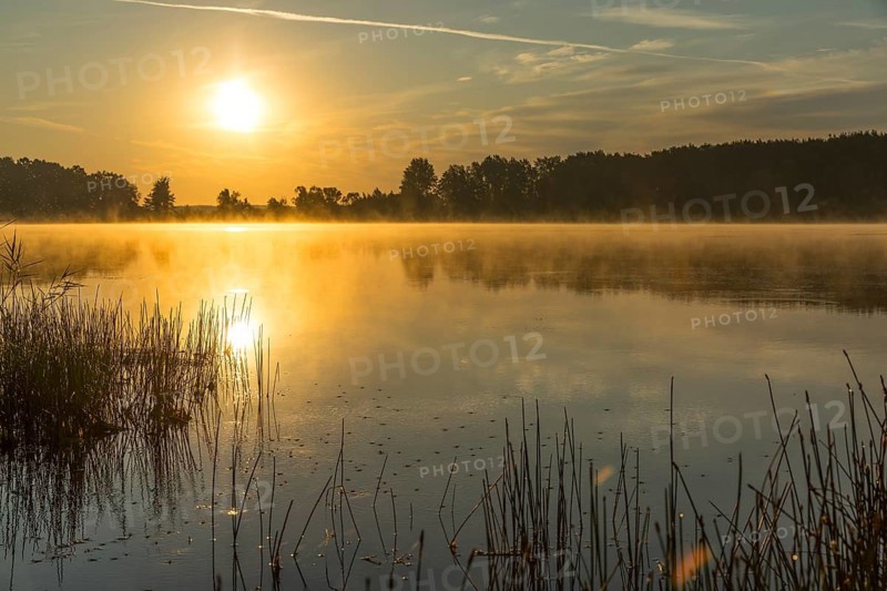 Light fog lies over the smooth water surface of the Quitzdorf dam at sunrise, Kollm, Upper Lusatia, Saxony, Germany