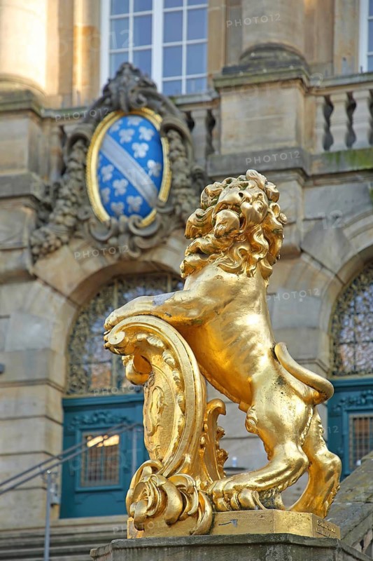 Golden lion figure and city coat of arms, golden, town hall, Obere Königsstraße, Kassel, Hesse, Germany