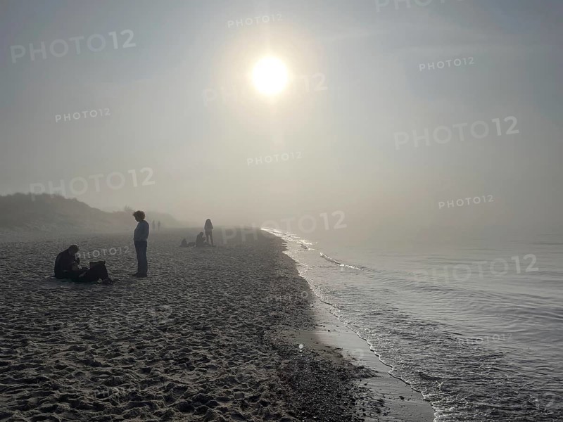 Fog on the beach in the Western Pomerania Lagoon Area National Park, Darss-Zingster Boddenkette, Baltic Sea, peninsula, nature, autumn, nature reserve, Fischland-Darß-Zingst, Mecklenburg-Western Pomerania, Germany