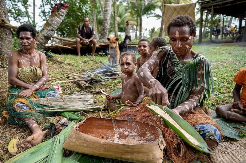 Local woman preparing banana leaves with roasted marrow of the Sago palm, village Pangoa, island Pangoa, Lake Murray, Western Province, Papua New Guinea