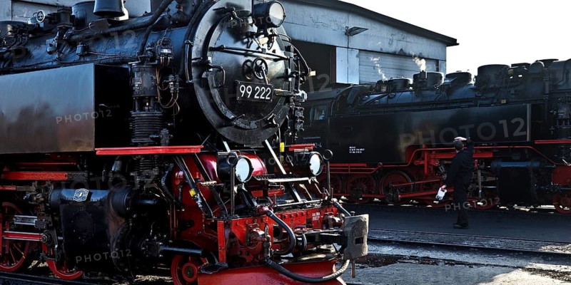 Steam locomotives at the engine shed, Harz narrow-gauge railway, abbreviated HSB, Wernigerode station, railway romance, nostalgia, Saxony-Anhalt, Germany