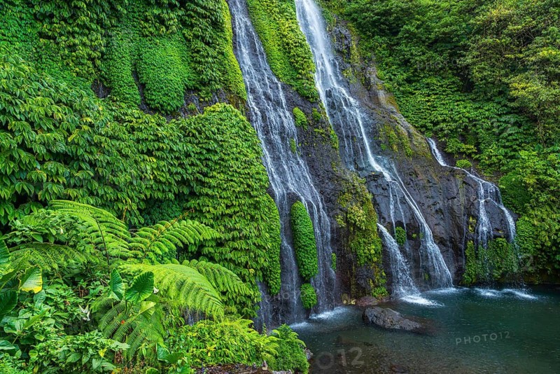 Banyumala twin waterfalls, waterfall, jungle, rainforest, water, nature, botany, holiday, paradise, nobody, landscape, tourism, travel, Bali, Indonesia
