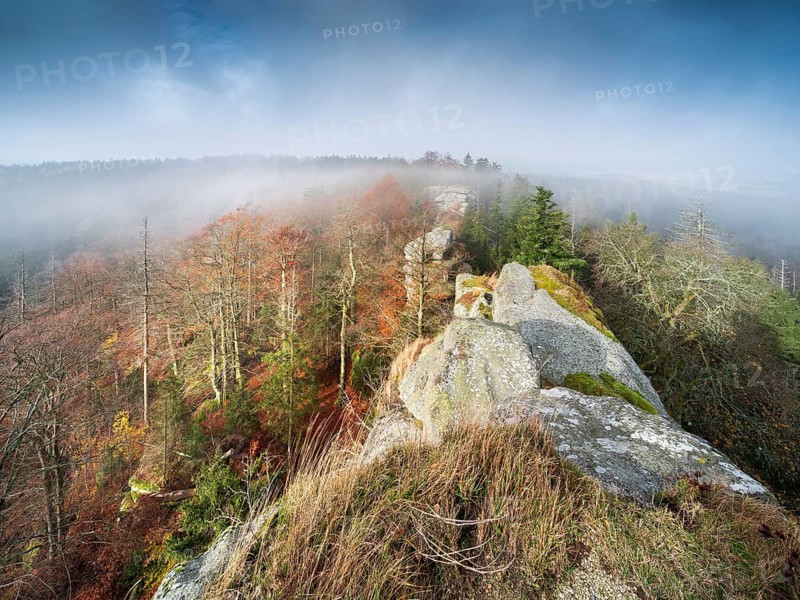 Großer Waldstein, view over rock formation and forest in autumn with fog, Fichtelgebirge, Upper Franconia, Franconia, Bavaria, Germany