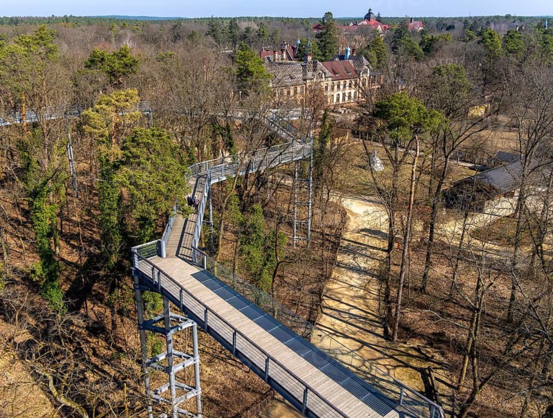 Treetop path on the historic site of the former tuberculosis sanatorium in Beelitz, Brandenburg, Germany
