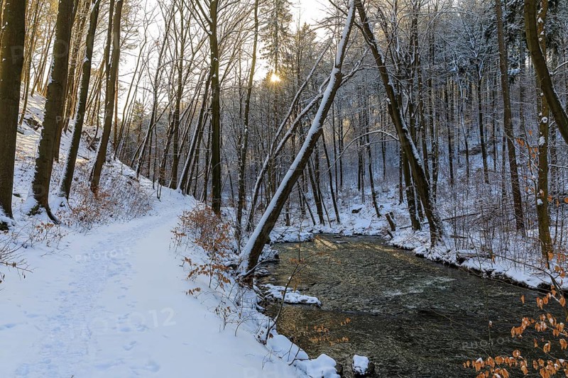 Hiking trail in the snow in the Wesenitz valley along the Wesenitz, Dürrröhrsdorf-Dittersbach, Saxony, Germany