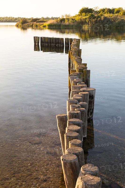Wooden groynes on the eastern shore of Werbeliner See, Rackwitz, Saxon Lake District, Saxony, Germany