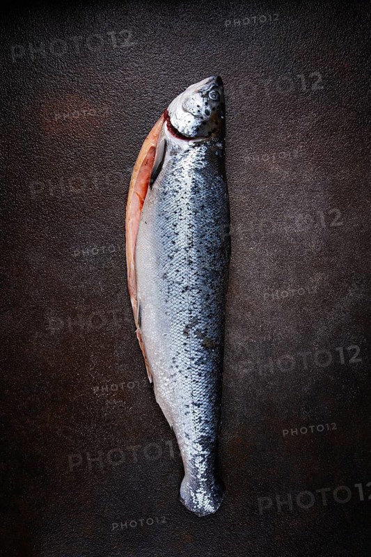 Freshly frozen salmon, peeled, on the table, top view