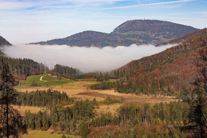 Early morning mist in the Egelsee nature reserve with a view of the Gaisberg, moorland, Puch near Hallein, Osterhorn group, Salzkammergut, Salzburg province, Austria