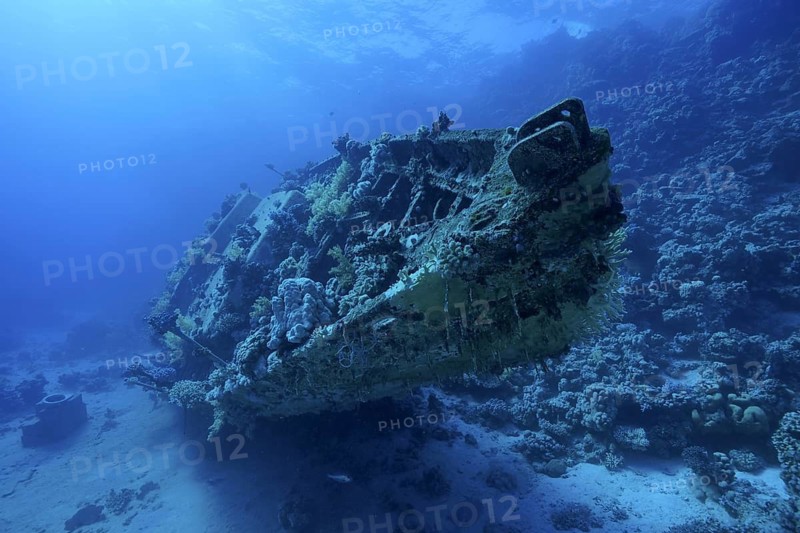 A coral-covered shipwreck of a sailboat lies in the deep blue sea, dive site Small Abu Reef, Fury Shoals, Red Sea, Egypt