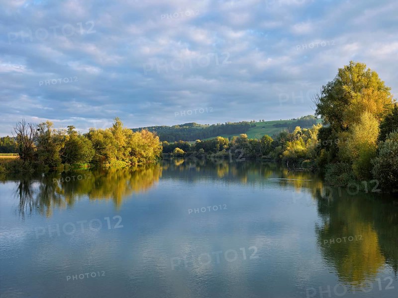 Morning atmosphere at the shallow lake with trees reflected in the water, Rottenschwil, Canton Aargau, Switzerland