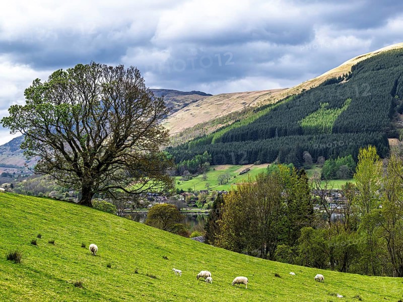 Farm and mountains, Loch Earn, Southern Highlands, Scotland, United Kingdom