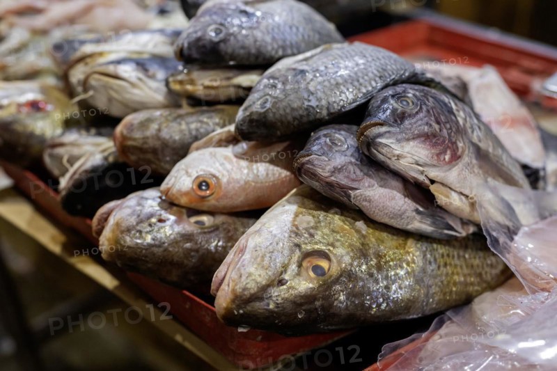 Oaxaca, Mexico, Fish on sale at the Benito Juarez Market. Opened in 1894, it is one of the largest and oldest markets in Oaxaca. Its many dozen stalls sell food of every kind, clothing, souvenirs, and more
