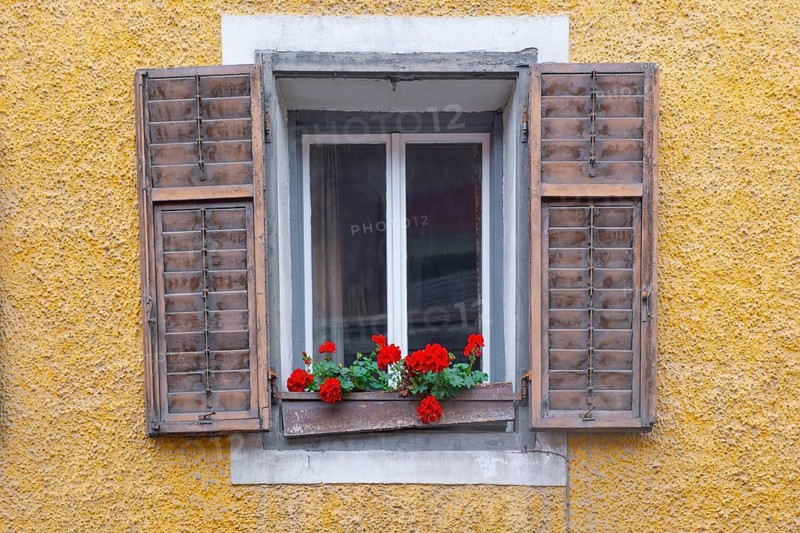 View of a window with old shutters and flowers in a broken flower box, St. Lorenzen, Bolzano, Trentino, South Tyrol, Italy