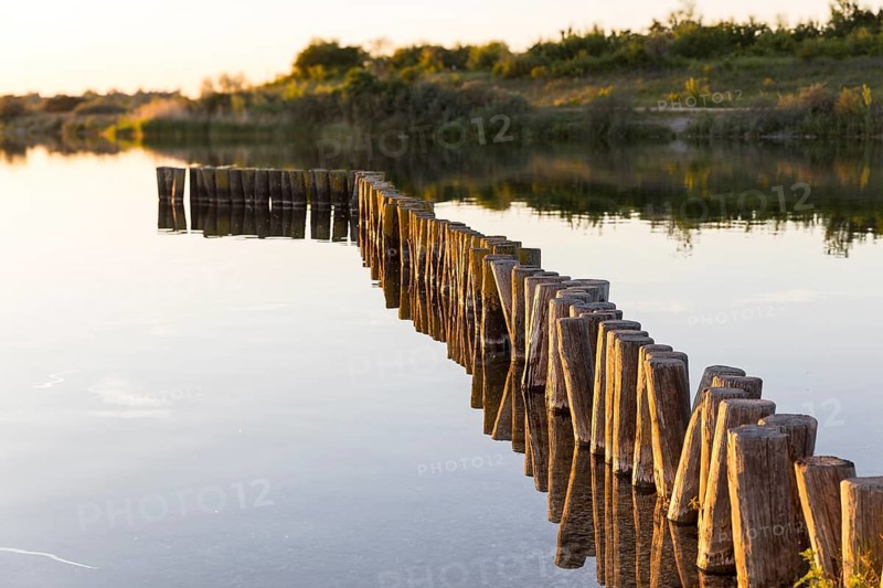Wooden groynes on the eastern shore of Werbeliner See, Rackwitz, Saxon Lake District, Saxony, Germany