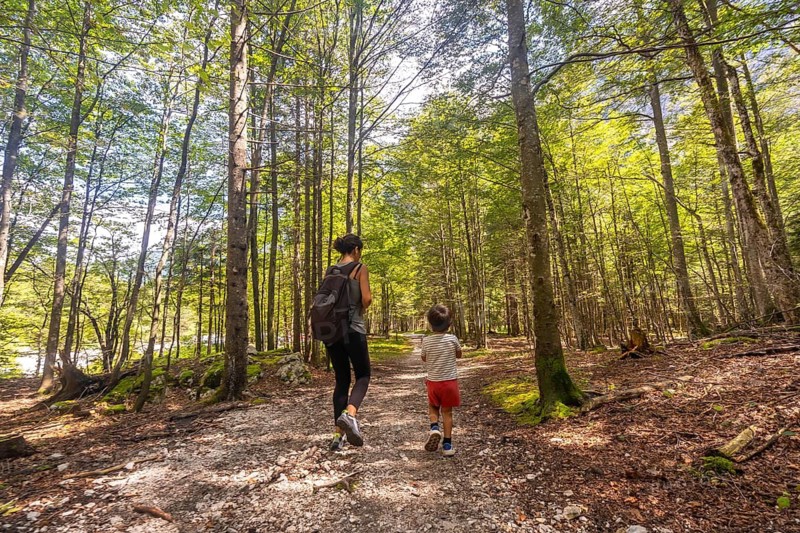 Mother and son enjoying a hike through the lush forest of logarska dolina valley in slovenia, surrounded by the beauty of nature