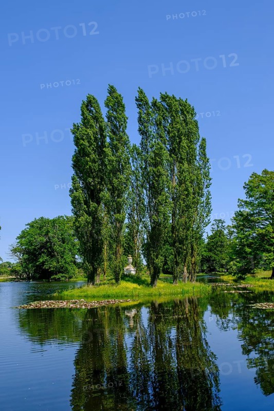 Wörlitz Park with Rousseau Island, Dessau-Wörlitz Garden Kingdom, Wörlitz Park, UNESCO World Heritage Site Garden Kingdom of Dessau-Wörlitz, Dessau, Saxony-Anhalt, Germany