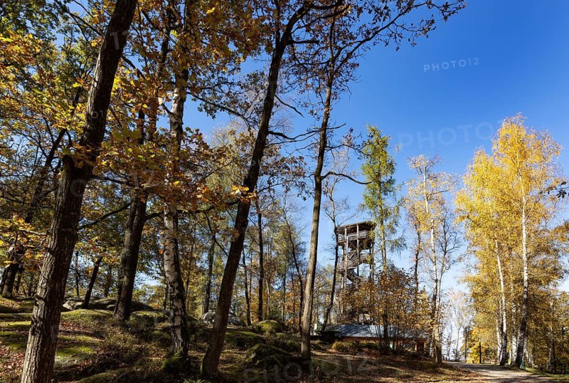 Observation tower in the Blockheide nature park Park near Gmünd, Waldviertel, Lower Austria, Austria