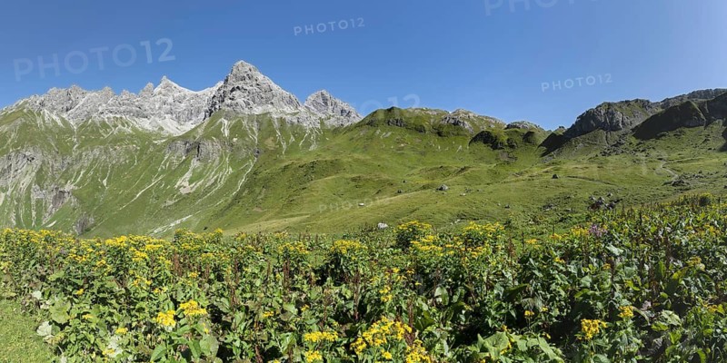 Panorama from the Kemptner Hütte, 1844m, to the Muttlerkopf, 2368m, Allgäu Alps, Allgäu, Bavaria, Germany