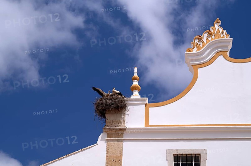 Church Igreja de Nossa Senhora da Conceição, stork, stork's nest, Portimão, Algarve, Portugal
