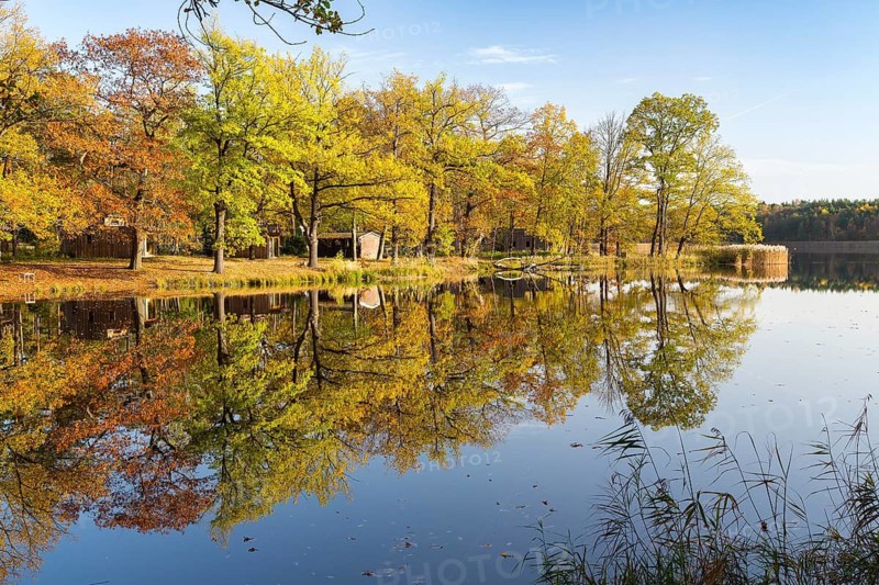 Autumn atmosphere at the Brettmühlenteich, Zschornaer Teiche, Thiendorf, Saxony, Germany