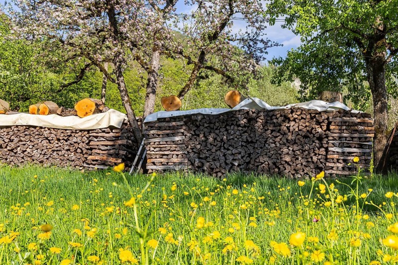 Pile of firewood in an orchard. Erkenbrechtsweiler, Baden-Württemberg, Germany