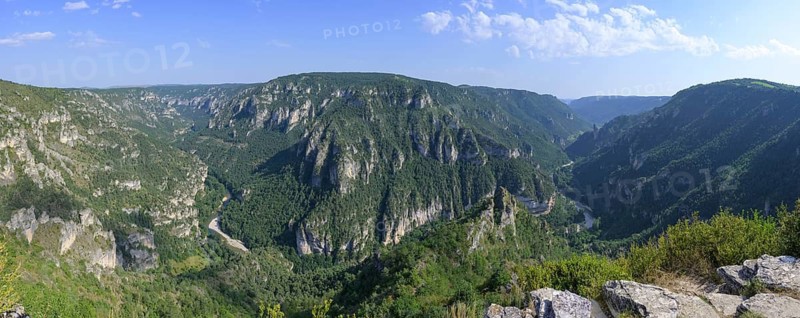View from Point Sublime into the Tarn Gorge, Massegros Causses Gorges, Point Sublime, Département Lozère, France