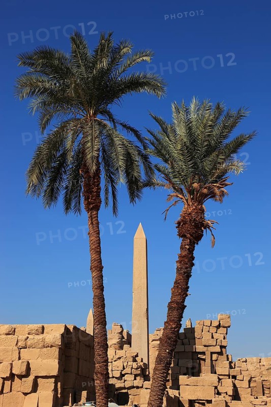 Luxor, Karnak Temple, obelisk in the temple complex in Karnak, Africa, Upper Egypt, UNESCO World Heritage Site