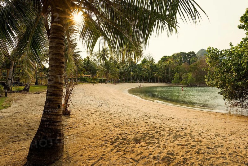 Picturesque beach with coconut palms and huts, sunset, Klong Son Beach, Ko Chang, Koh Chang, Mu Ko Chang National Park, Trat, Thailand