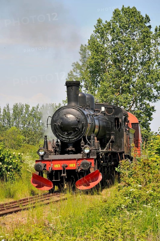 The steam train on the museum railway between Brösarp and Sankt Olof on Österlen, Simrishamn municipality, Skåne County, Sweden, Scandinavia