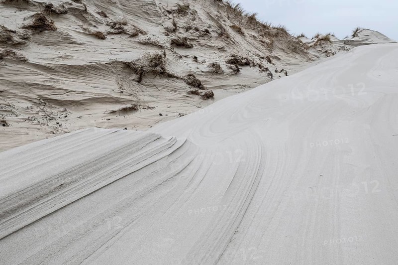 Dune landscape, Amrum, Schleswig-Holstein, Germany