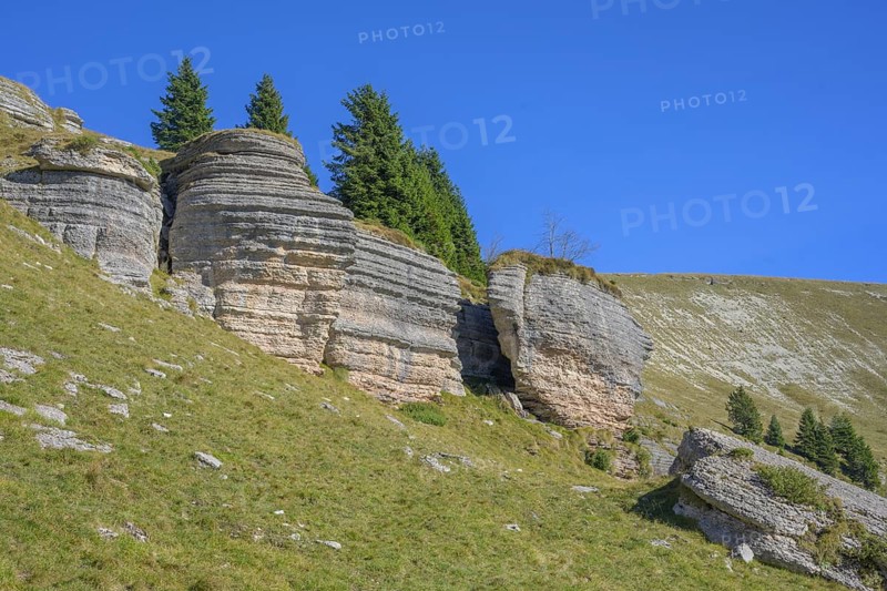 Surface karst rock formations, circular hike Monte Fior, Foza, province of Vicenza, Italy