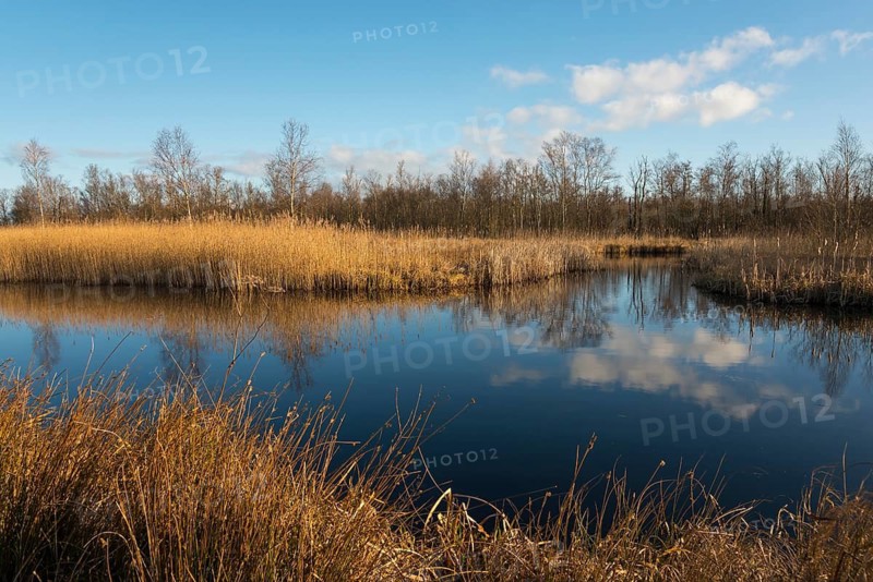 National Park De Alde Feanen, the old fen, Earnewald, Eernewoude, Friesland, Fryslân, Netherlands