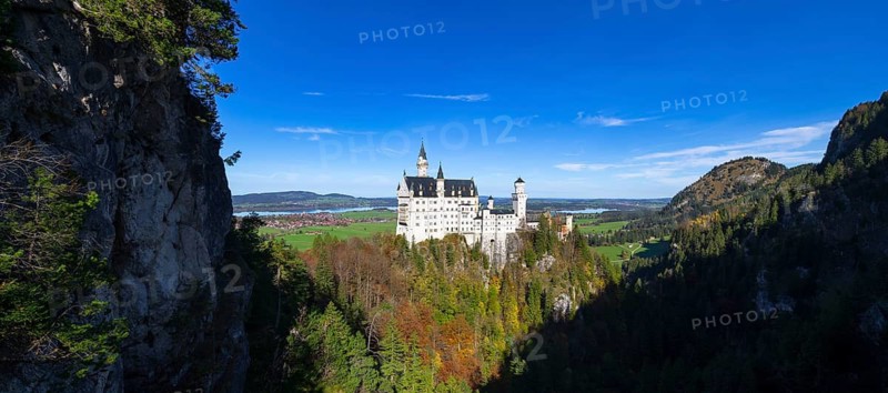 Panorama of Neuschwanstein Castle surrounded by forests and mountains under a blue sky, Schwangau, Ostallgäu, Allgäu, Swabia, Upper Bavaria, Bavaria, Germany