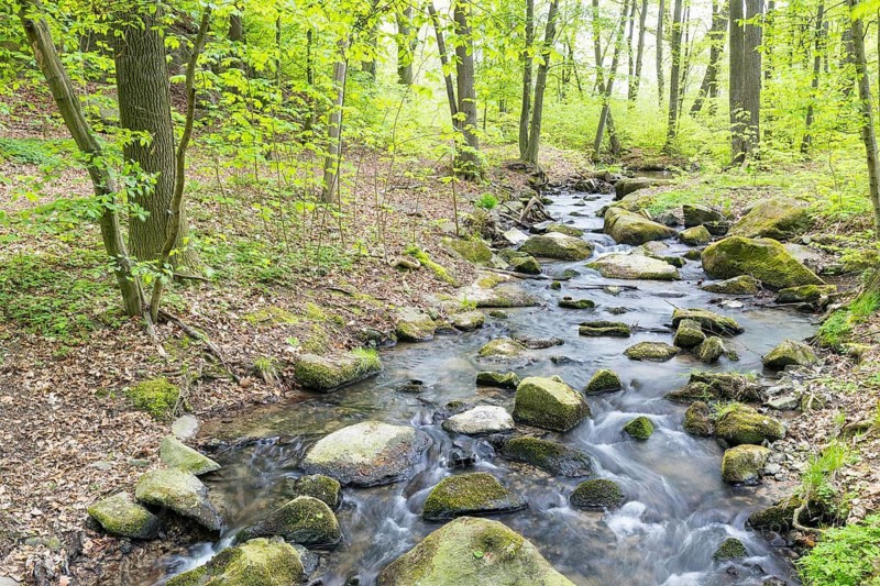 Stream Kotitzer Wasser flows in the Lausker Skala, Lauske, Weißenberg, Saxony, Germany
