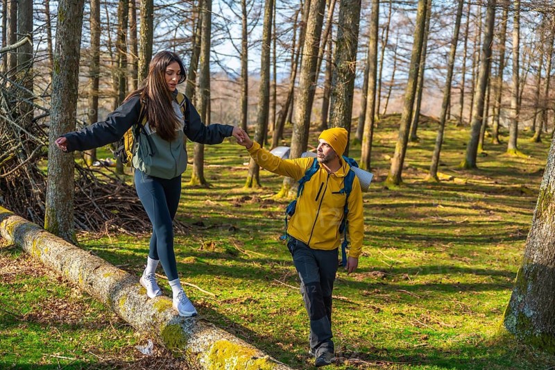 Hikers navigating the woods, supporting each other while balancing on a fallen tree trunk, enjoying their adventure in nature's embrace