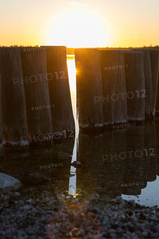 Wooden groynes and reflection of the sun, Werbeliner See, Rackwitz, Saxon Lake District, Saxony, Germany
